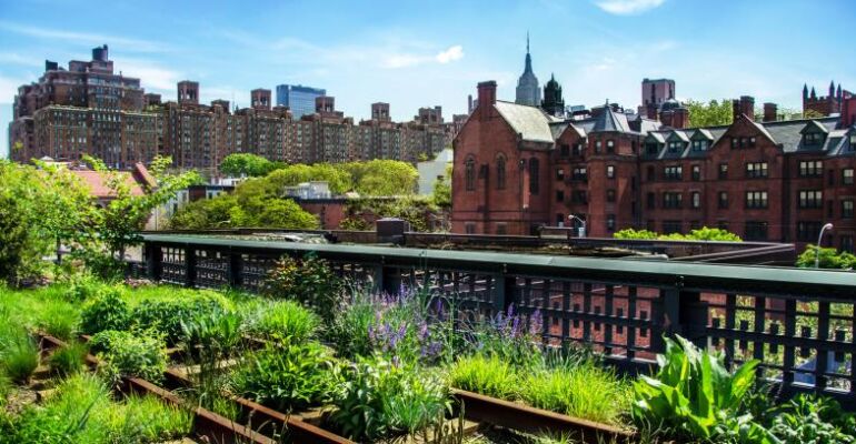 Chelsea Market and Meatpacking District Tour of New York City