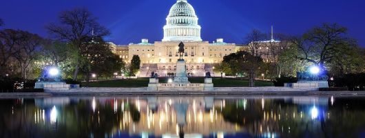Washington DC National Mall Guided Walking Tour