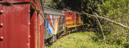 Pudding Creek Scenic Train Journey from Fort Bragg