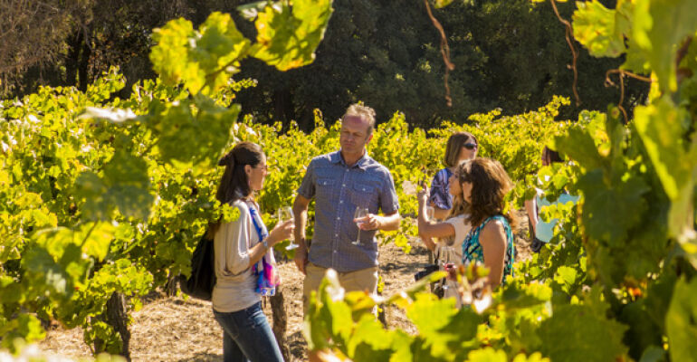 Full Day Wine Country Bus Tour in Napa and Sonoma Valley