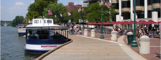 Guided Extensive Day Tour of Washington DC by Bus