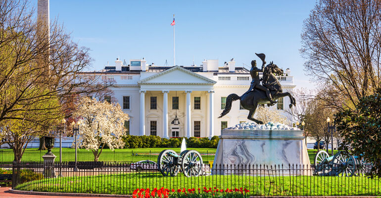 Guided Half Day Tour of Washington DC Key Highlights
