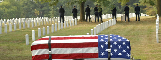 Arlington Monuments Guided Morning Tour near Washington DC