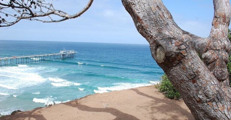 La Jolla 5K Running Tour of San Diego