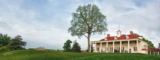 Old Town Alexandria Bus Tour and Mount Vernon Visit