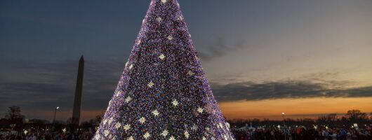 Washington DC Holiday Lights Sightseeing Bus Tour