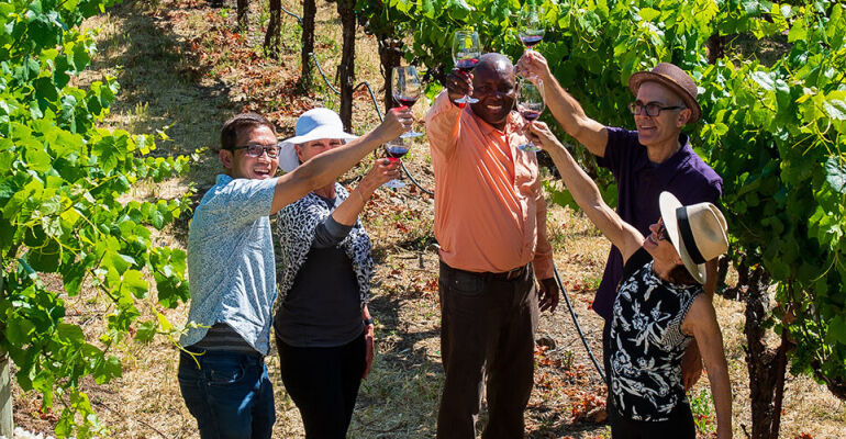 Redwoods and Wine Country Tour from San Francisco with Tastings