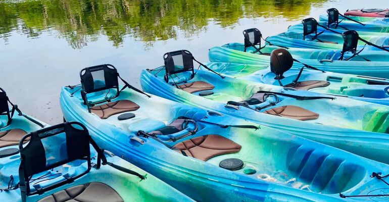 Blackwater Creek Kayak Tour in Florida
