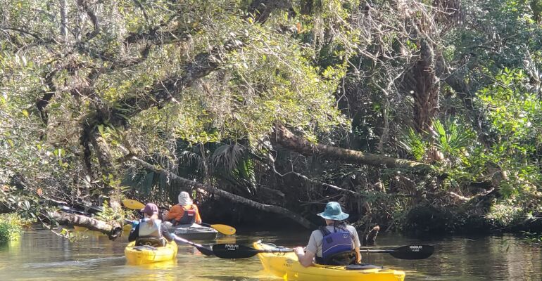 Econlockhatchee River Kayak Tour in Orlando