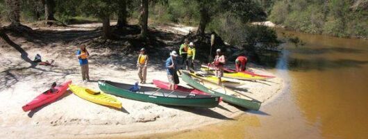 Kayaking Introductory Lesson in Orlando