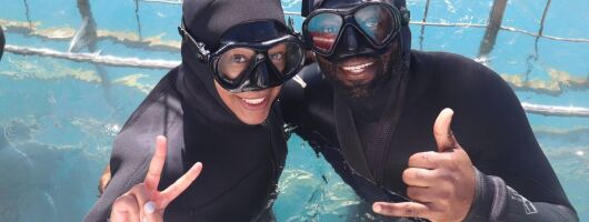 Shark Cage Diving Gansbaai
