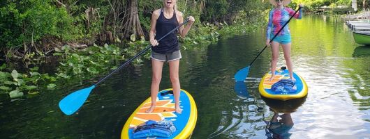 Florida Freshwater Springs Paddle Board Tour