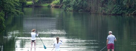 Historic Haleiwa Rainbow Bridge Stand Up Paddle (Anahulu River)