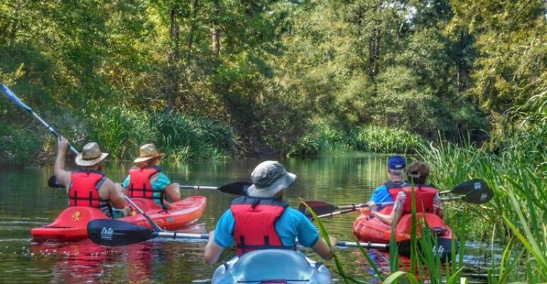 New Orleans Bayou Eco Kayak Tour