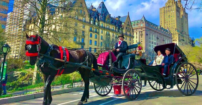 **New York Central Park Top Hat Carriage Tour