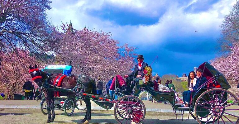 New York Romantic Horse-Drawn Carriage Proposal Ride