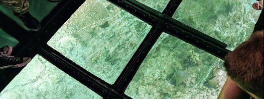 Key Largo Coral Reef Glass Bottom Boat Adventure 