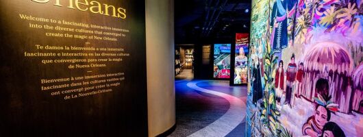 Vue Orleans: Observation Deck Entry Ticket