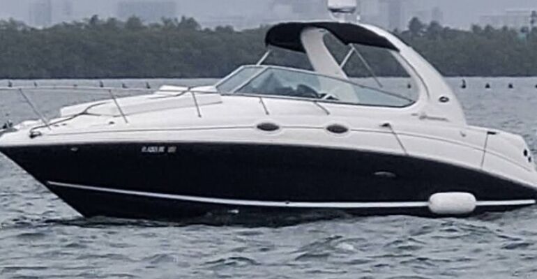 Miami Beach Boat Rental Deals: Private Sea Ray Experience