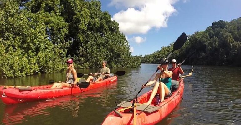 Wailua River Kayaking and Waterfall Adventure