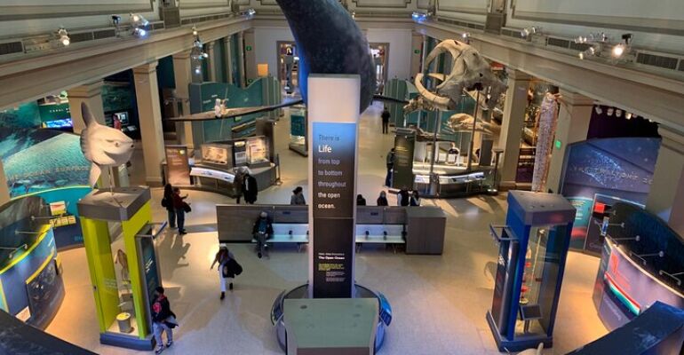 Washington Dc Smithsonian Museum Interactive Guided Tour