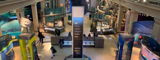 Smithsonian National Museum of Natural History with Guided Tour
