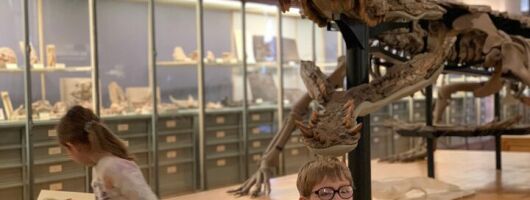 Washington DC Museum of Natural History Private Family tour