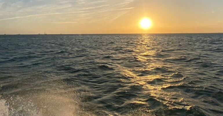 Miami Sunset Cruise and Proposal Experience