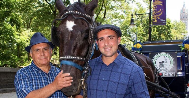 NYC Central Park Horse Carriage Ride