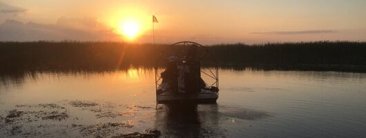 Sunset 1.5 Hour Private Airboat Tour of Miami Everglades