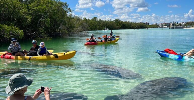 Bonita Springs Clear Kayak Eco Tour