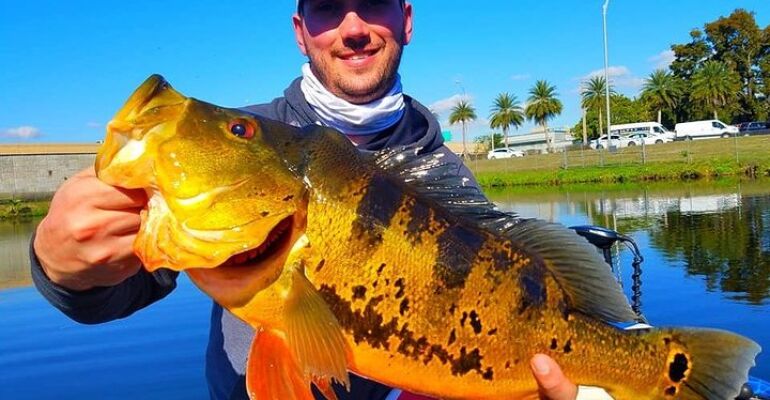 Miami Urban Peacock Bass Fishing Adventure Tour