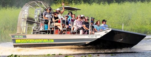 30-Minute Airboat Ride, Lunch, Gem Mining and Park Admission 
