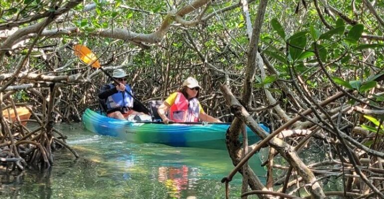 Miami Scenic Island Adventure Tour
