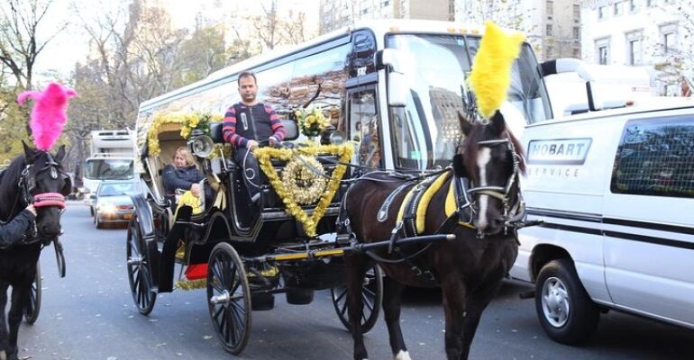 Central Park Horse-Drawn Carriage Tour