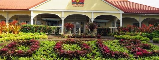 Oahu Ultimate Circle Island Tour Full Day Experience
