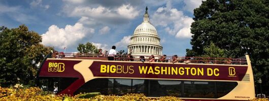 DC: Hop-On Hop-Off Tour with 17 Stops and Arlington Walking Tour