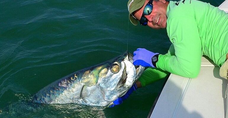 Miami Trophy Fishing Expedition Experience