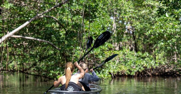 North Miami Clear Kayaking Adventure Tour