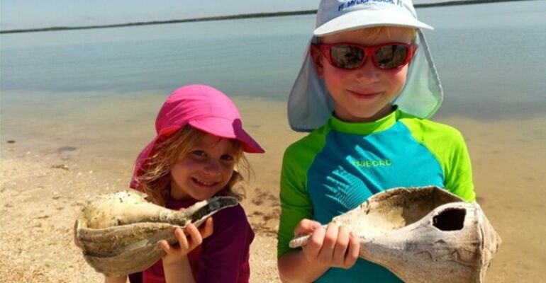 Goodland Dolphin, Birding, and Shelling Tour