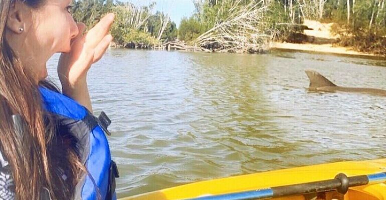 Mims Dolphin & Manatee Kayaking Eco Tour