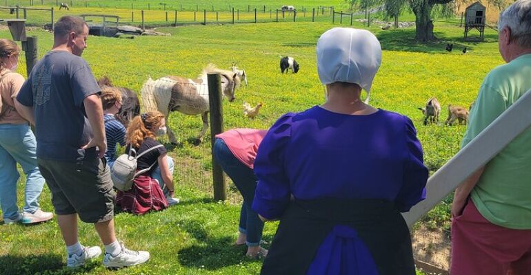 Lancaster Amish Culture and Farm Tour
