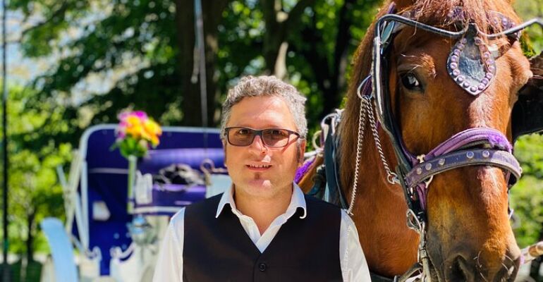 New York Central Park Horse Carriage Experience