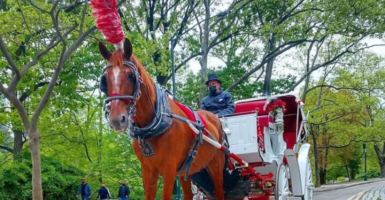 New York City Central Park Carriage Tour