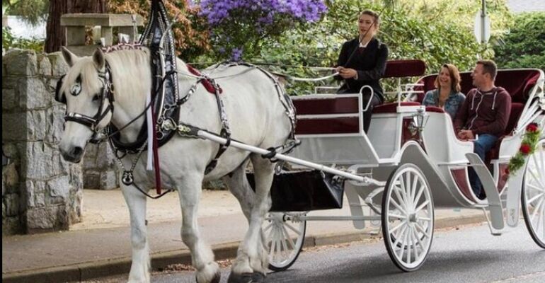 New York City Central Park Carriage Tour