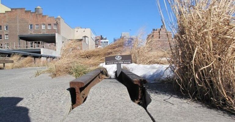 New York High Line History Walking Tour