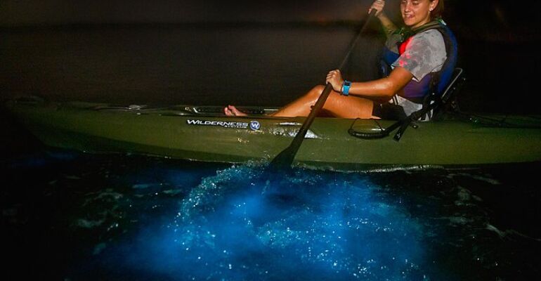 Cocoa Beach 2 Hour Bioluminescence Kayak Tour