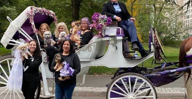 New York City Horse Carriage Sightseeing Tour