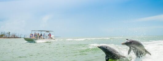 Marco Island Dolphin Sightseeing Tour