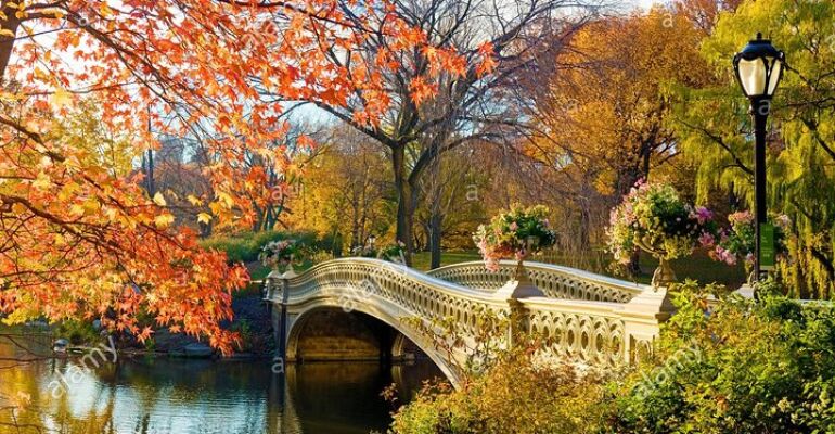 New York Central Park Wildlife and Sculpture Tour